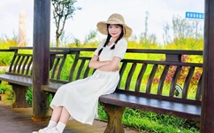 色情电线在免费